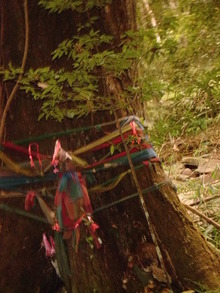 Image 2 click for bigger size