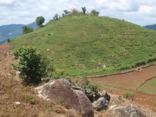 Image 1 click for bigger size