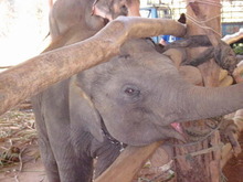 Image 1 click for bigger size