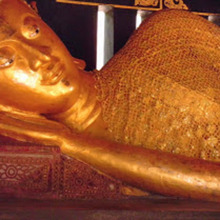 Image 1 click for bigger size