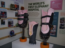 Image 2 click for bigger size