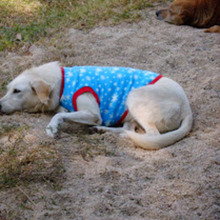 Image 1 click for bigger size