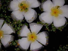 Image 2 click for bigger size