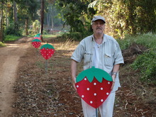 Image 2 click for bigger size