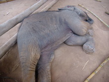 Image 2 click for bigger size