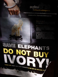 Image 1 click for bigger size