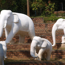 Image 2 click for bigger size